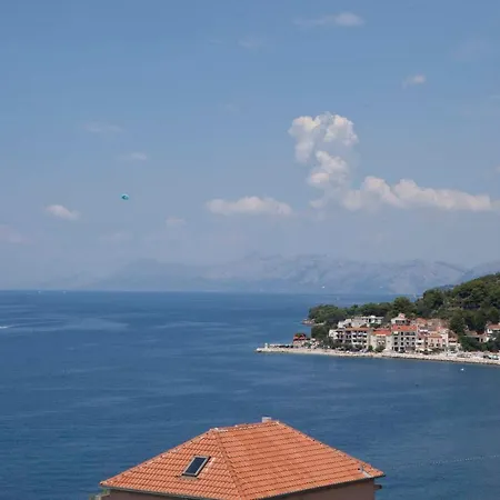 Mozart 4* 伯德古拉